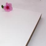 Eco Friendly Matte White 0.35mm PET Laminated MDF Panels