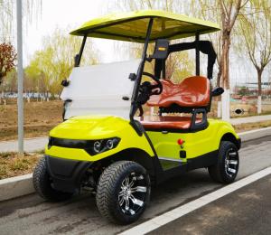 Quality 10 Inch Tire Optional Lithium Battery Electric Golf Cart 4KW Motor Customized wholesale