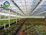 Vegetable 7ft Pe Film Greenhouse With Irrigation Eqiupment