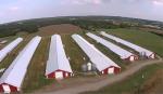 Galvanized Steel Poultry House Onsite Installation Prefab Steel Farm Shed
