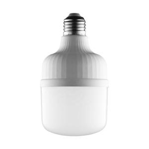 Quality B22 E14 E27 High Power T Bulb 5W 10W 15W 20W 28W 36W LED Bulb For Indoor wholesale