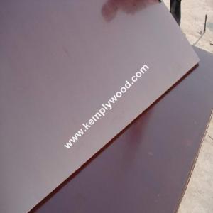 Quality Concrete Film Faced Plywood Phenolic Film Faced Plywood,building film faced board, contruction wood timber wholesale