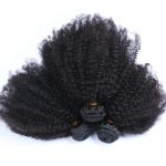 Afro Kinky Curly Hair Brazilian Virgin Human Hair Bundles Natural Black Color No