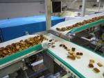 Food Grade Endless Material Handling Conveyor Belt PVC / Polyurethane White
