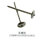 All Kinds of Nails