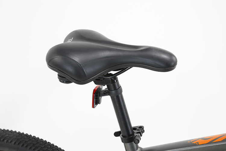 OEM ODM 6 Speed Electric Bicycle With Customized Design And Aluminum Alloy Frame