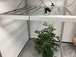 2035umol/S UV LED Grow Lights