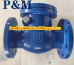 DN100 PN16 GG25 cast iron swing check valve