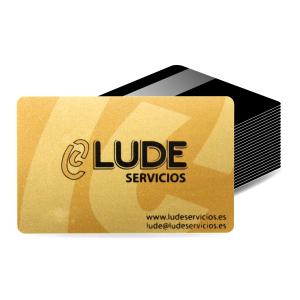Quality H9 UHF PVC Smart Parking Card with Alien Higgs 9 wholesale