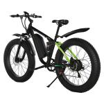 20MPH Fat Tyre Electric Mountain Bike 7Speed Geared Discbraked