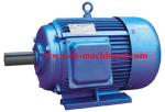 Engine Motor three phase Super High Efficiency AC DC Electric Motor