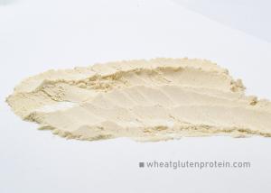 Quality Light Yellow Dried Vital Wheat Gluten Powder , Food Grade Organic wholesale