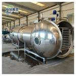 300kg Vacuum Freeze Drying Equipment with Advanced Drying Technology from Junxu