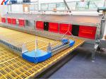 KXD Automatic Poultry Breeding Equipment Chicken House Feeding Line