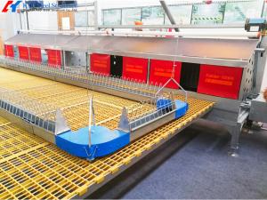 Quality Steel Poultry House Equipment Automatic Customized Broiler Feeding System wholesale