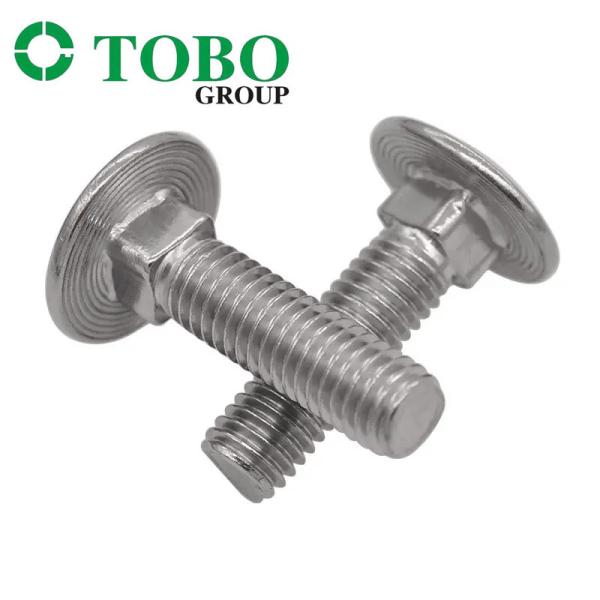 DIN 603 Stainless Steel Zinc Plated Square Neck Carriage Bolts Flat Head Bucket
