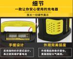 Lead Acid 10AH 200AH Intelligent Car Battery Charger