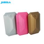 Durable Plastic Ice Plate Freezer Ice Pack For Fan Food Cold Storage Transport