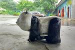 Coin Operated Electric Toy Car Walking Simulation Panda Ride For Playground