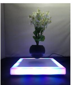 Quality creative magnetic levitation air bonsai PLANT flowerpot christmas gift wholesale