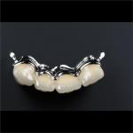 Precision Zirconia PFM Crowns Partial Dentures Natural Looking