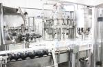 1.9KW 3.5kw Soda Bottle Filling Machine for Carbonated Drink Packaging Line
