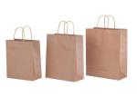 Sturdy Takeaway Paper Bag , Eco Friendly Degradable Shopping Paper Bag
