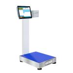 17 Inch Touchscreen Display 500kg Electronic Weighing Scale for Industrial