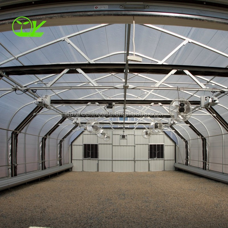Agricultural Greenhouse Ltd. Presents Large Vertical Hydroponic System for Lettuce