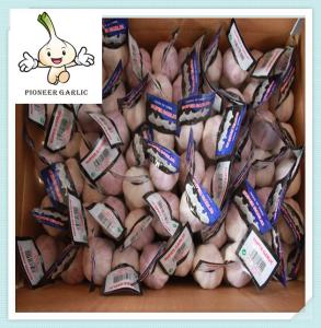 Quality 2016 China natural Fresh Pure white garlic fresh white garlic wholesale