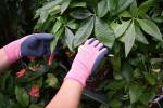 Pink Nylon Seamless Liner Women Gardening Clip Use Sandy Latex Palm Coated