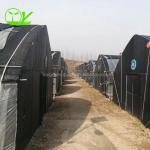 Single-Span Agricultural Greenhouses for Commercial Stable Structure Easily