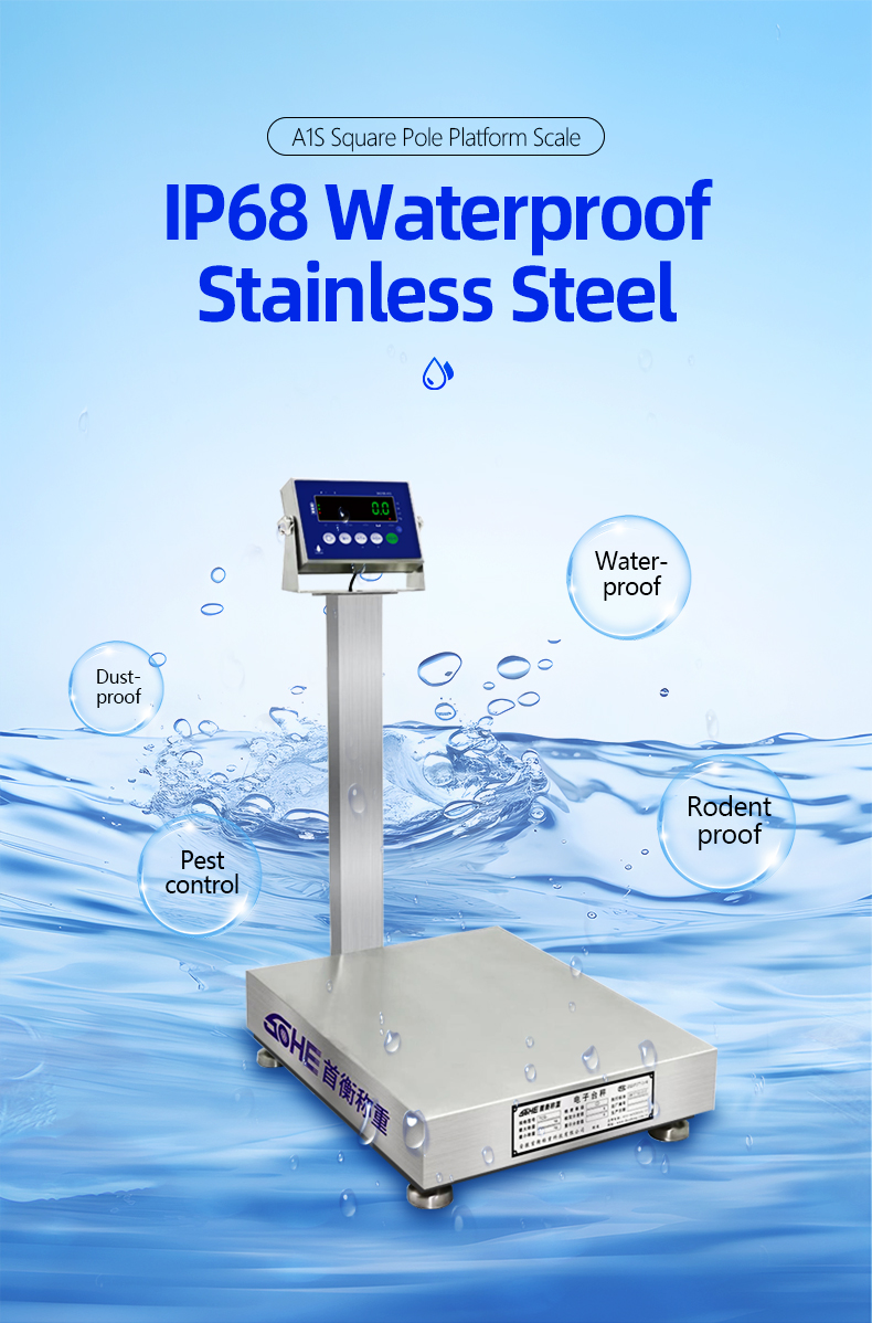 Power Supply 10.5V/1A 200KG Stainless Steel Scale for Seafood and Food Factories