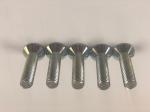 DIN604 Flat Countersunk Nib Bolts 12.9 Carbon Steel Bolt