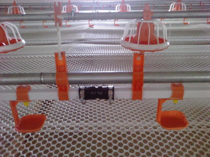 Chicken birds lubing nipple drinker for quail poultry farm water system China price
