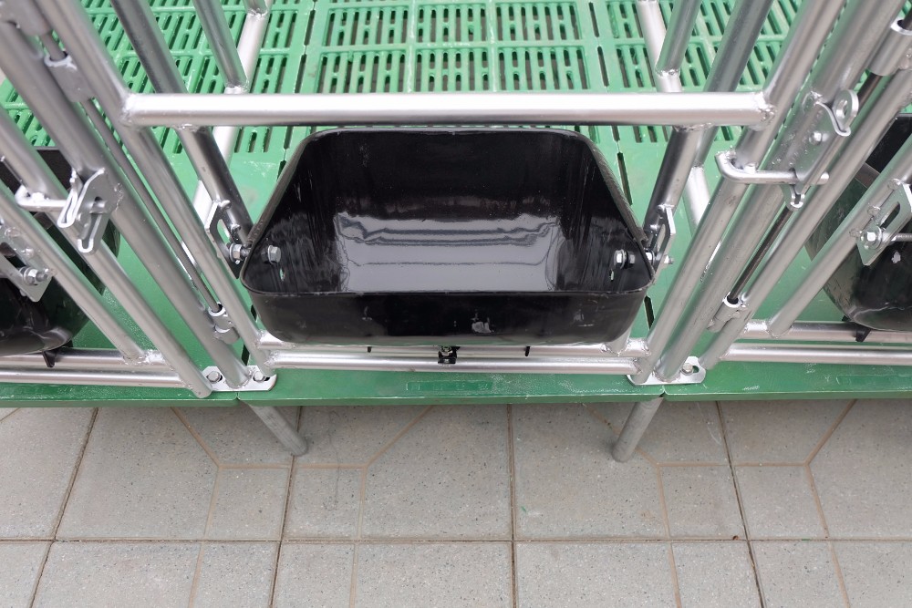 ISO9001 2008/CE/BV Certified Pig Farming Business Plan for Customized Cages and Pen