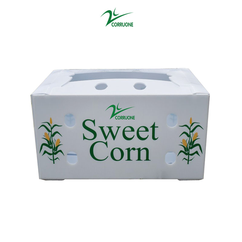 Correx Fruit Corrugated Boxes Custom Corrugated Plastic Boxes For Corn