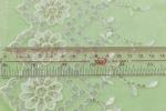 Embroidered Bridal Trim By The Yard For Dresses Nonstretched
