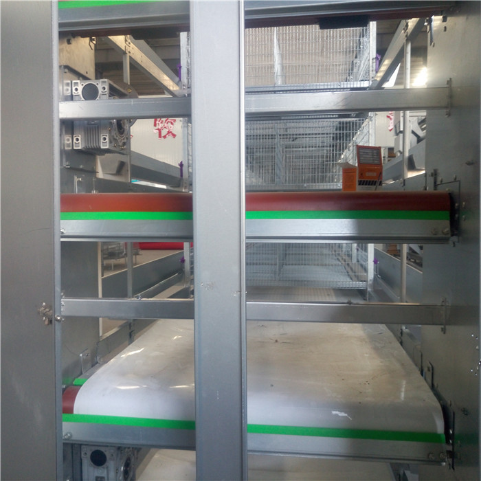 Automatic Control Poultry House Cleanout Equipment , Powerful Poultry Farm Cage