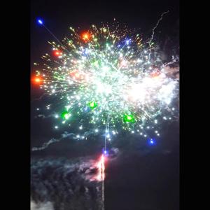 Quality Chinese 2inch 49 Shots Pyrotechnic Cake Fireworks Customized New Year Fireworks wholesale