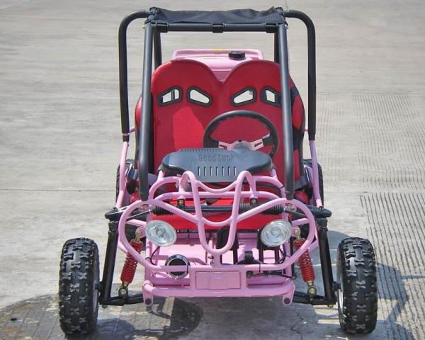 Foot Brake Operation Go Kart Buggy 4 Stroke CTV Electric Start Automatic With