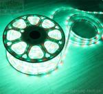 whole sale 220V 50 meter RGB spool chasing led strip 5050 SMD trade 60LED/m