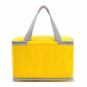 Quality Pantone Insulated Cooler Bags Reusable With Aluminum Film wholesale