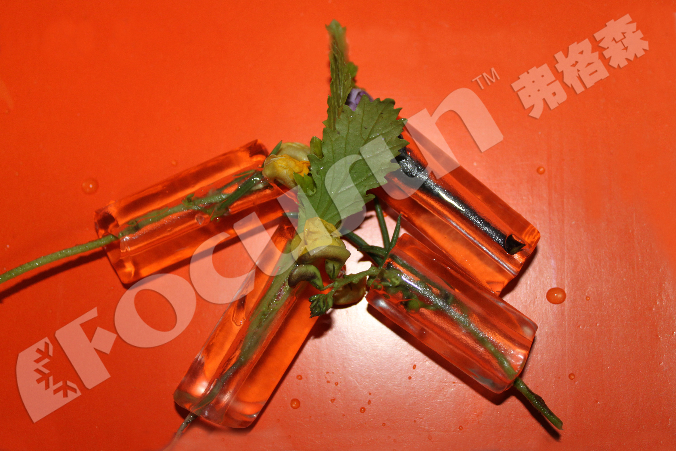 2 Tons Small Industrial Tube Ice Machine 2021 Design Field Maintenance and Repair Service