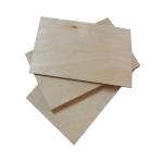 Full Hardwood Core MR 12mm Film Faced Birch Plywood