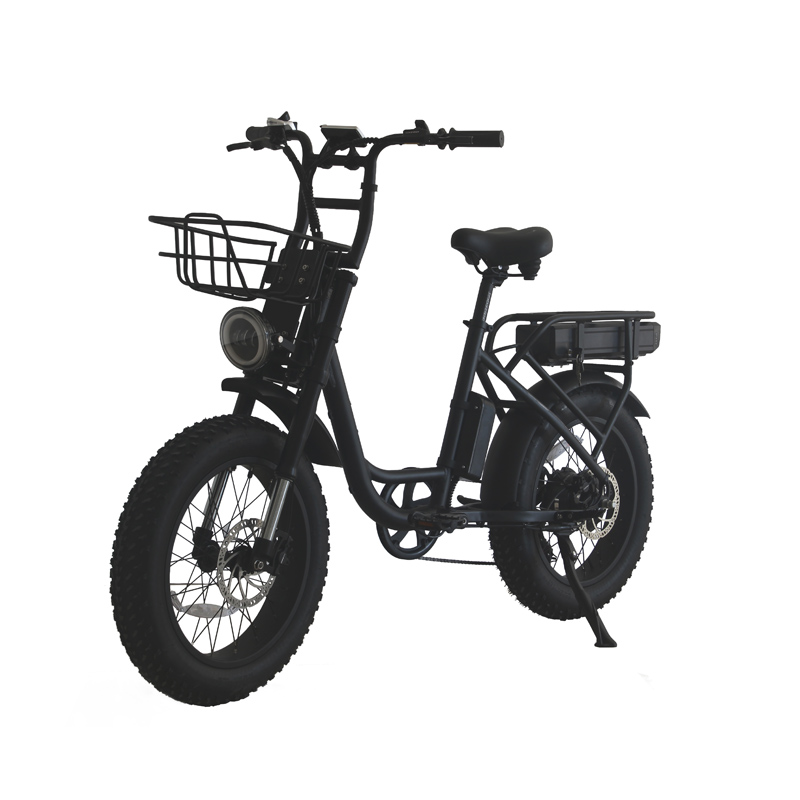 Aluminium Alloy Suspension Fork 750w/1000w 48V 20Ah Electric Hybrid Bike for Woman