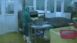 Industrial Shrimp Tunnel Cooker , SUS304 Prawn Automatic Tunnel Cooking Line