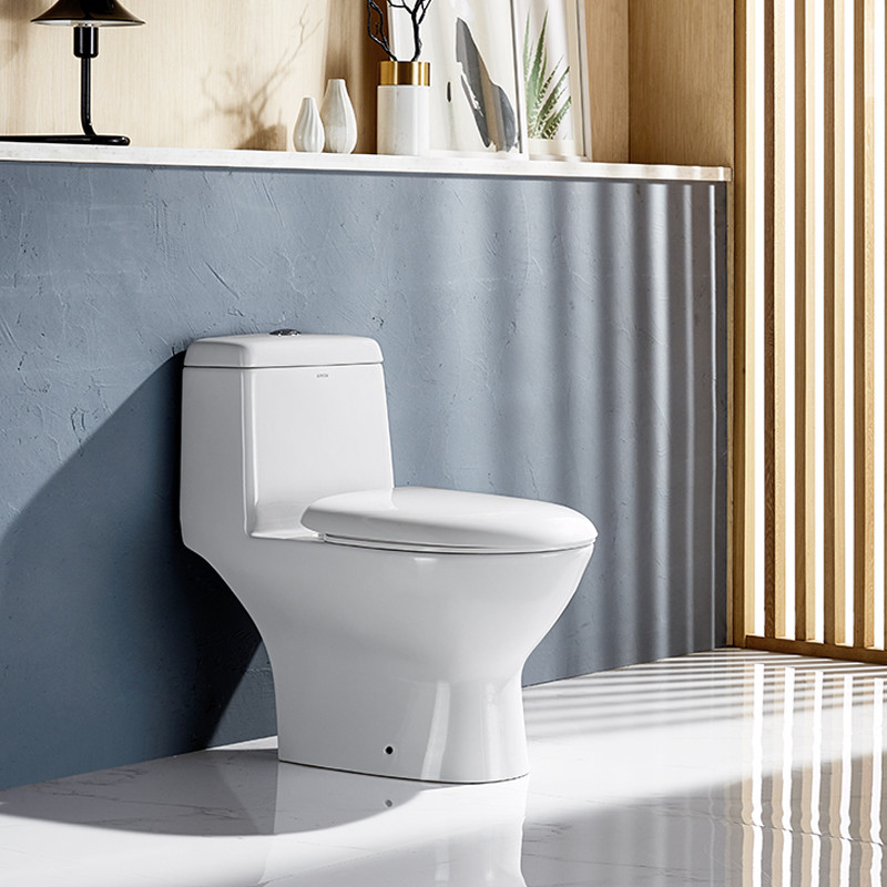 1 Piece Dual Flush Toilet Elongated Bowl 0.8/1.2 GPF Soft Closed Seat