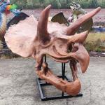 Jurassic World Replica Triceratops Skeleton Sunproof For Museum