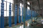 Variable Speed Submersible Well Pump / 3 Inch Diameter Submersible Deep Well